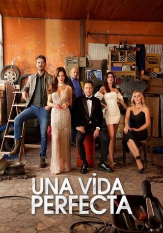 Una vida perfecta