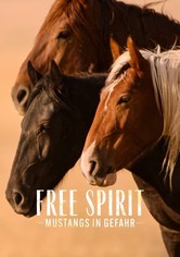 Free Spirit - Mustangs in Gefahr