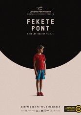 Fekete pont