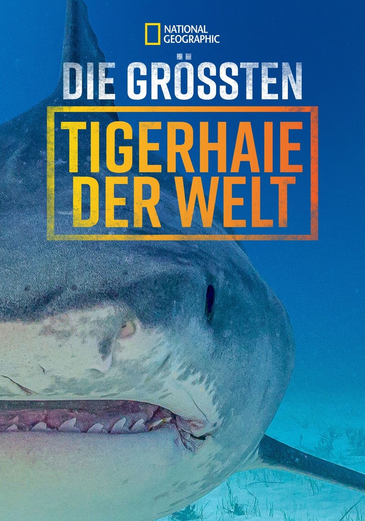 Die größten Tigerhaie der Welt - Stream: Online anschauen