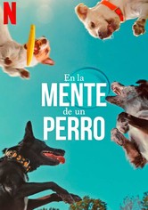 En la mente de un perro