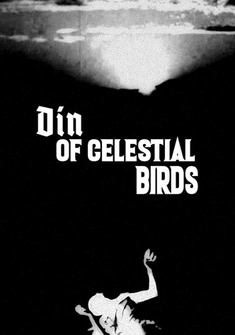 Din of Celestial Birds