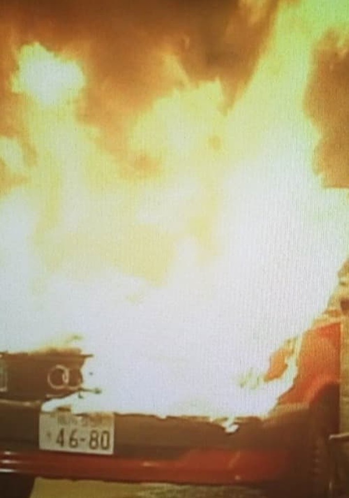 おとり捜査官・北見志穂Ⅱ