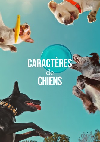 Caractères de chiens