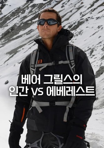 Bear Grylls: Man vs Everest