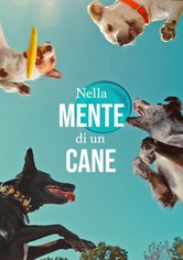 Nella mente di un cane