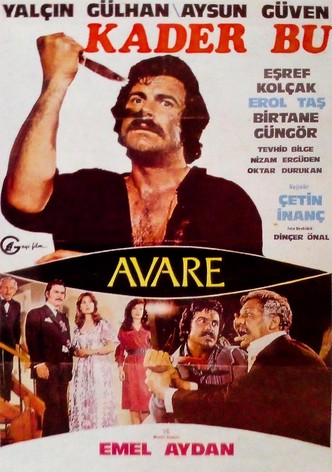 Kader Bu