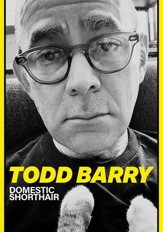 Todd Barry: Domestic Shorthair