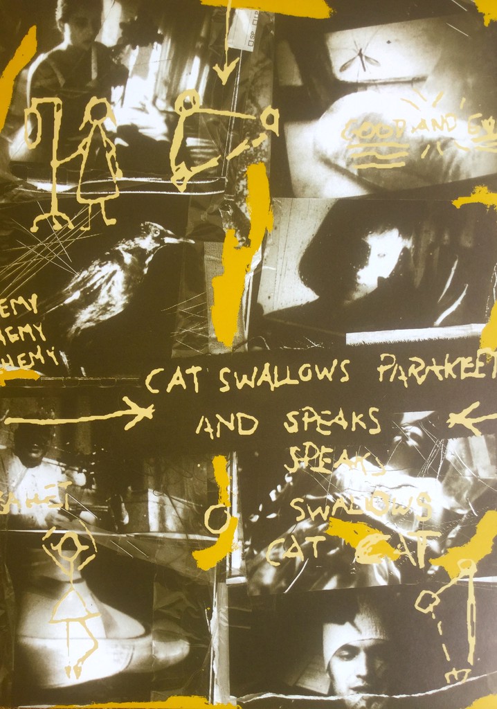 Cat Swallows Parakeet and Speaks!