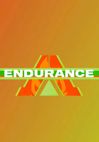 Endurance poster