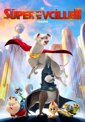 DC Süper Evciller Takımı