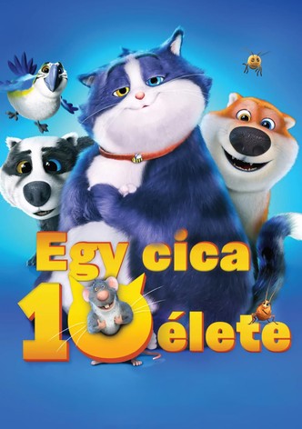Egy cica 10 élete
