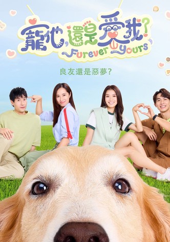 宠他，还是爱我？