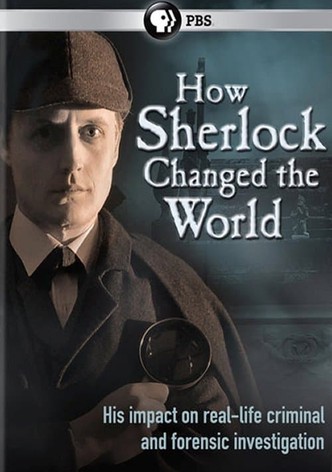 How Sherlock Changed the World
