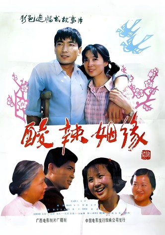 酸辣姻缘