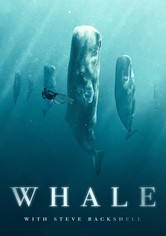 Whale mit Steve Backshall