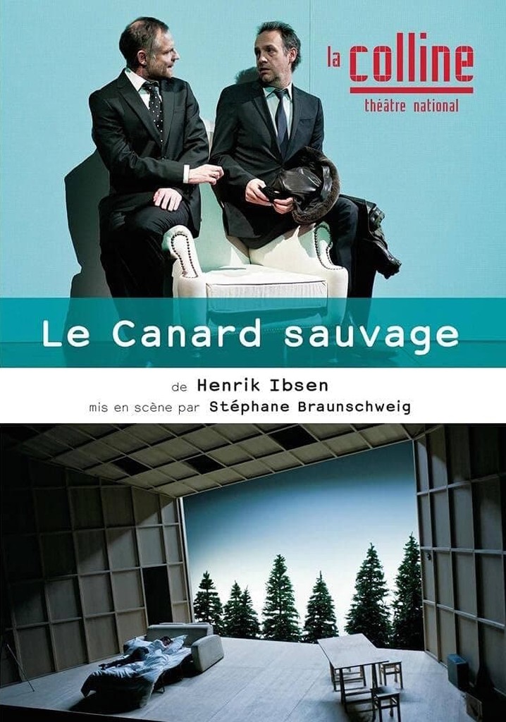 Le Canard sauvage