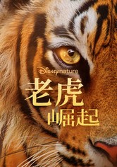 老虎崛起
