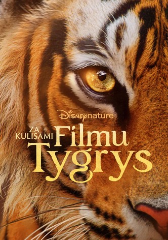 Za kulisami filmu "Tygrys"