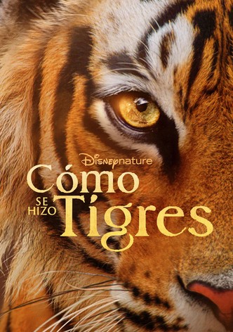 El resurgir de los tigres