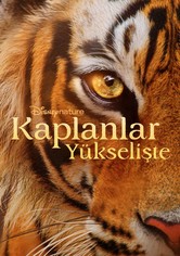 Kaplanlar Yükselişte