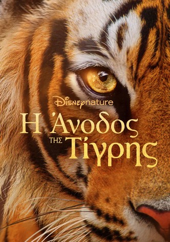 Η Άνοδος της Τίγρης