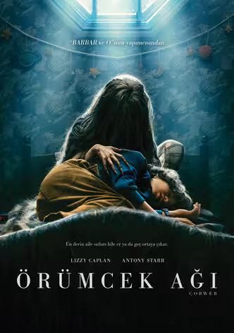 Örümcek Ağı afişi