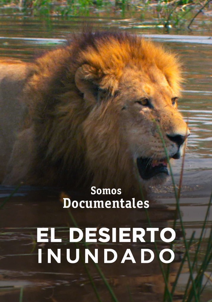 Kalahari: The Flooded Desert