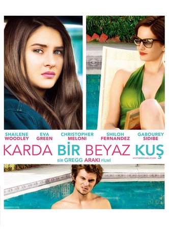 Karda Bir Beyaz Kuş