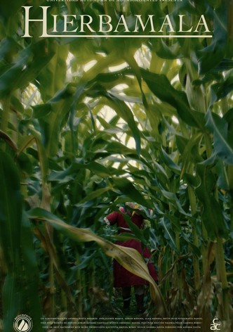 HIERBAMALA