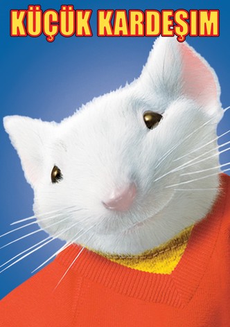 Küçük Kardeşim