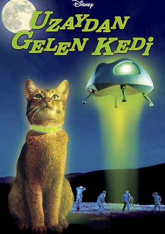 Uzaydan Gelen Kedi