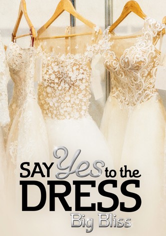 Say Yes to the Dress: Big Bliss
