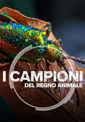 I campioni del regno animale