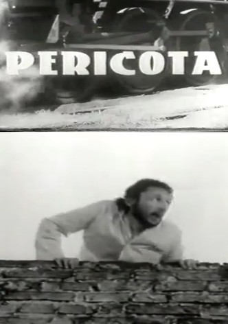 Pericota