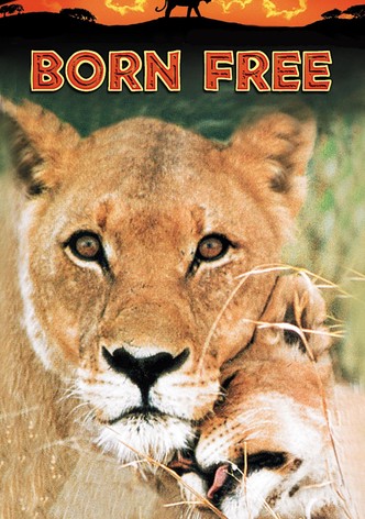 Frei geboren - Der Ruf Afrikas