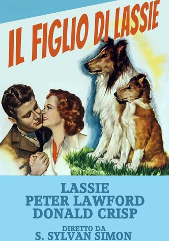 Il figlio di Lassie