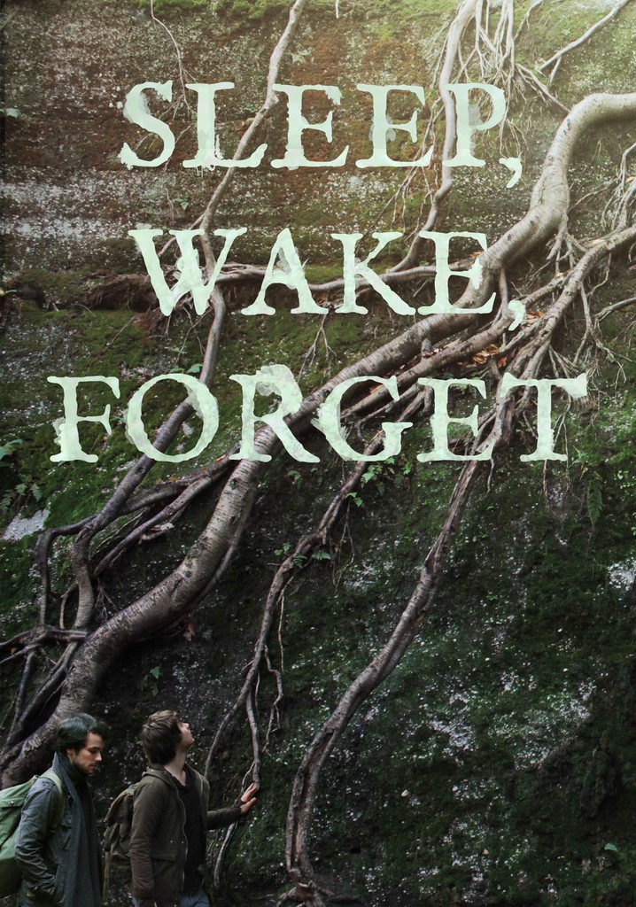 Sleep, Wake, Forget