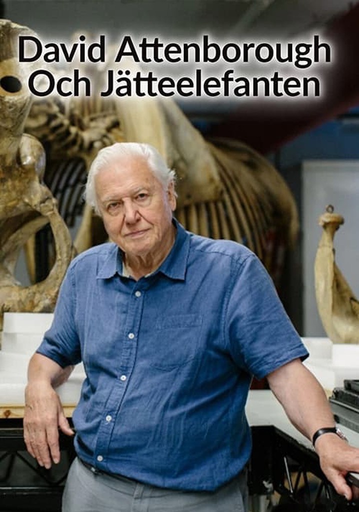 Jumbo: The Life of an Elephant Superstar