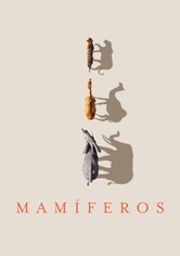 Mammals