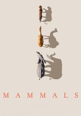 Mammals