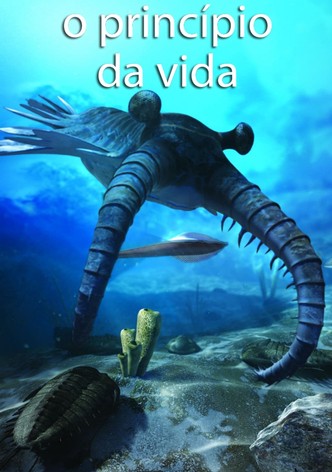 O Princípio Da Vida