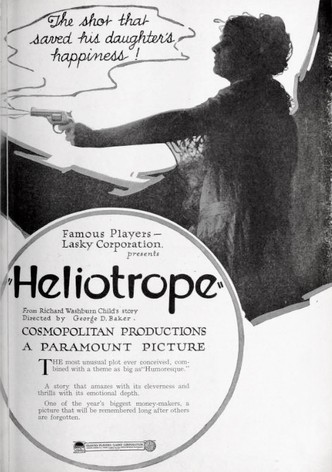 Heliotrope