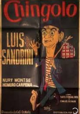 Chingolo