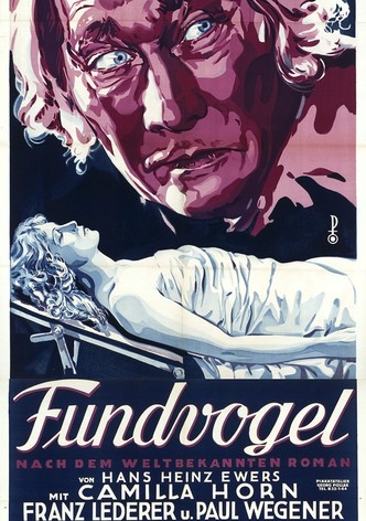 Fundvogel
