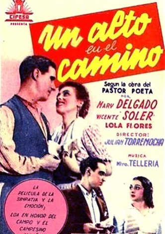 Un alto en el camino