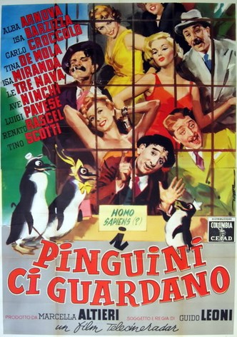 I pinguini ci guardano