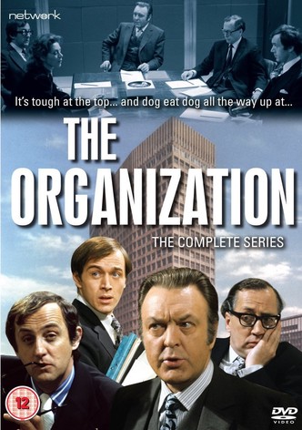 The Organization