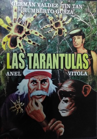 Chanoc en las tarántulas