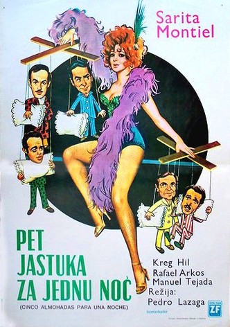 Five Pillows for One Night